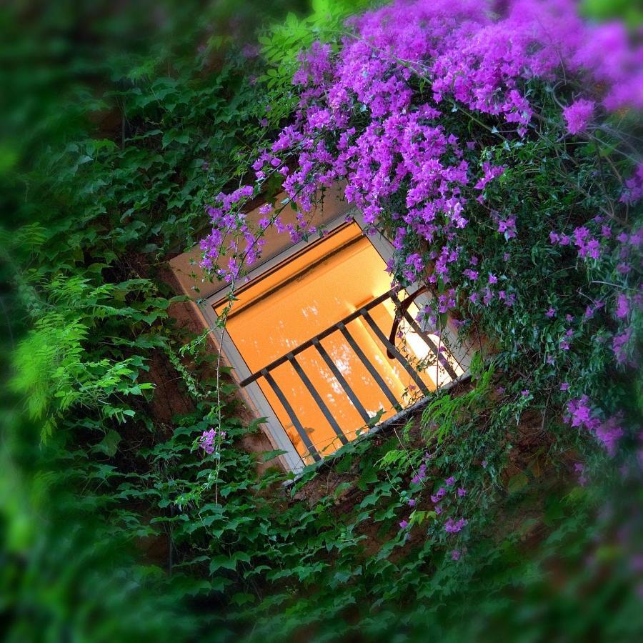 Bio Hotel Raphael - Relais & Chateaux Rome Luaran gambar
